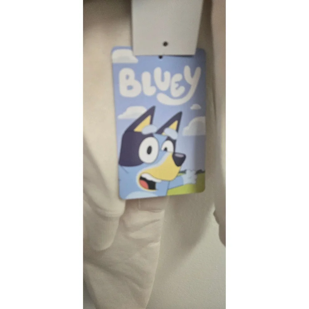 Bluey Toddler Hoodie and Jogger Pants 2pc Set Whitecap Gray 3T FL2543459EY